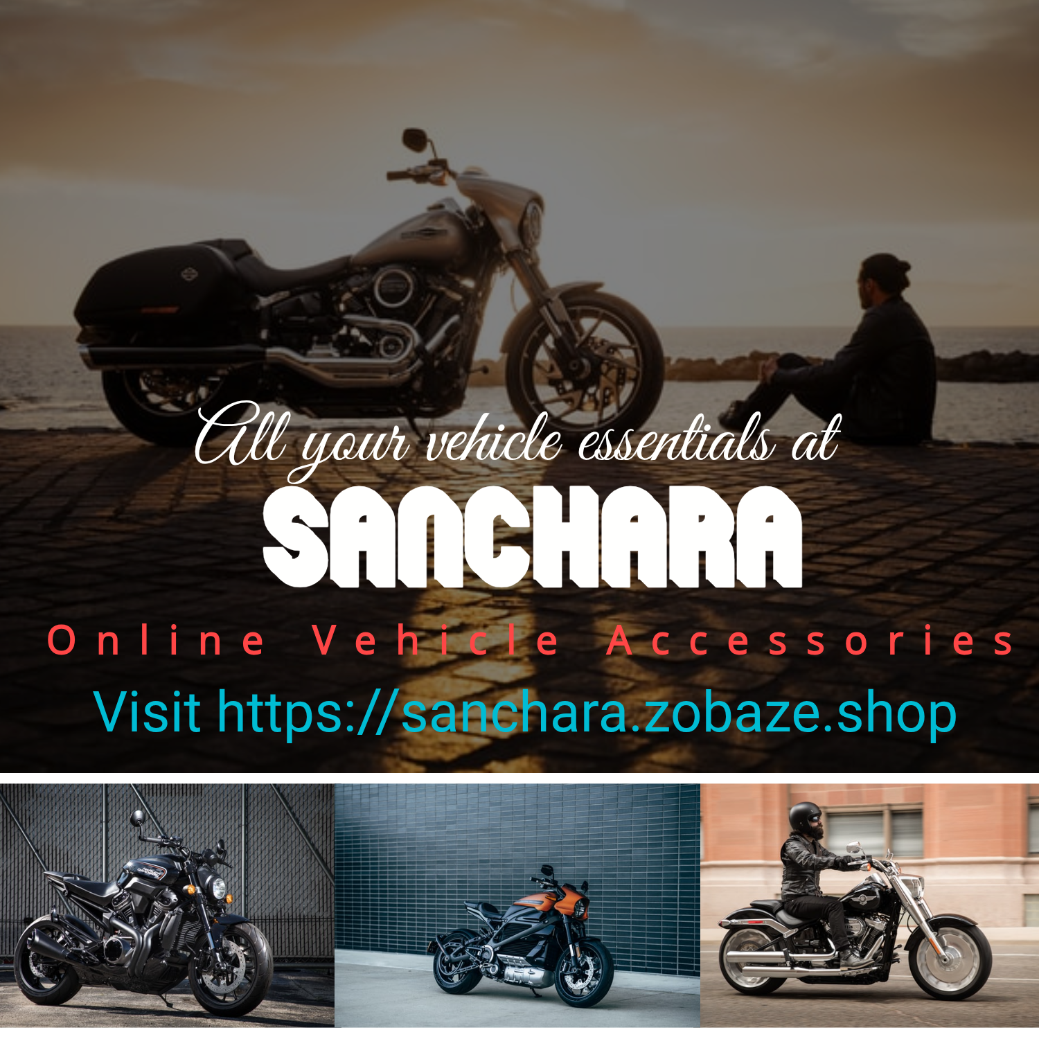 Ready Steady Go Shopping